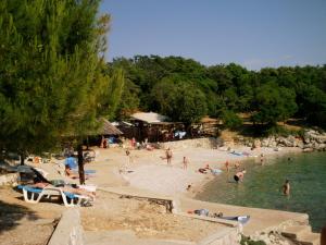 a group of people on a beach in the water at apartmani Vesna in Pinezici