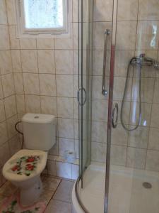 a bathroom with a toilet and a glass shower at Konvalinka - ubytování v soukromí in Harrachov