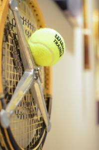 Zdjęcie z galerii obiektu AGA Tenis Apartments by Radwańska w Krakowie