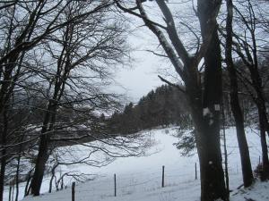 Ferienhaus Vulkaneifel Kopp v zimě