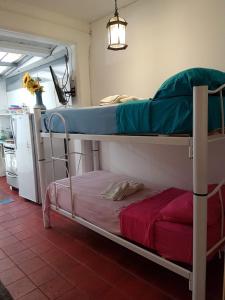 a couple of bunk beds in a room at Cana Cacum in Yerba Buena