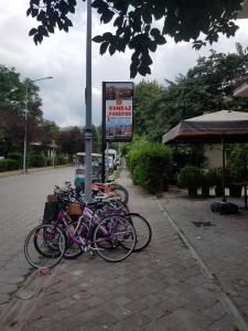 Pyöräilyä majoituspaikan Kumbaz Pansiyon alueella tai lähistöllä