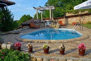 a pool in a patio with potted plants and an umbrella at Hotel Pri Chakara in Arbanasi