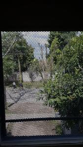 una ventana con vistas a un árbol en Cana Cacum en Yerba Buena