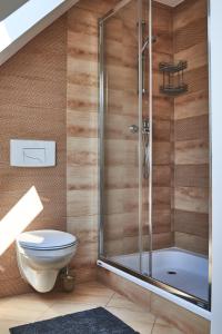 a bathroom with a toilet and a shower at Karolina in Polanica-Zdrój
