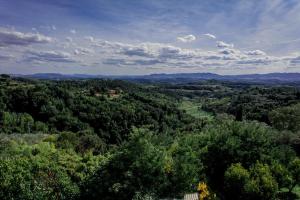 Príroda v okolí apartmánu