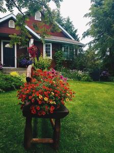 a bench with flowers in front of a house at Deer Ridge B&B in Golden