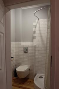 a white bathroom with a toilet and a shower at Widokówka in Łagów +104 photos