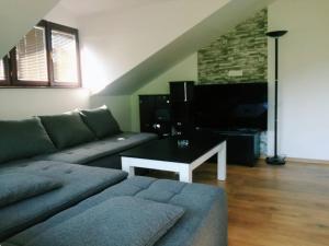 TV a/nebo společenská místnost v ubytování Apartment Denza City Center Sarajevo