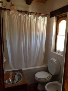 a bathroom with a toilet and a shower curtain at El Molino de Cachi in Cachí