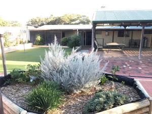 a garden in front of a house with plants at Sabai accommodation in Dongara
