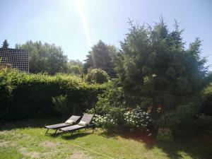 GothenにあるFerienhaus 1Aの木の横の芝生に腰掛けたベンチ