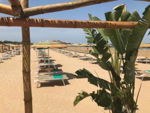 a group of chairs and umbrellas on a beach at Oasi Beach Hotel in Vieste