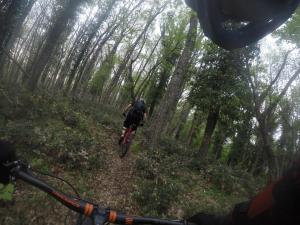 a person riding a bike on a trail in the woods at Oasi Beach Hotel in Vieste