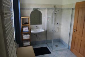 La salle de bains est pourvue d'une douche et d'un lavabo. dans l'établissement Ferienhaus Pepi, à Strobl