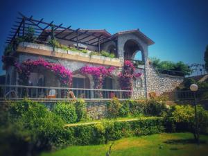 Zahrada ubytování Villa Alba Chiara