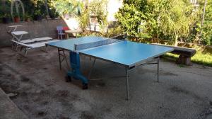 un tavolo da ping pong blu seduto in un cortile di Annabella's Country House a SantʼAntonio Abate