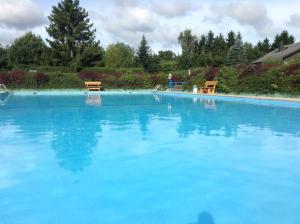 Der Swimmingpool an oder in der Nähe von Feriendorf Freilingen 151 A