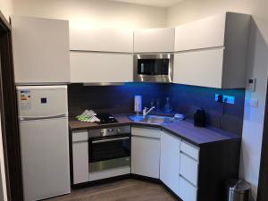 Kuchyňa alebo kuchynka v ubytovaní Apartmán pod Štítom