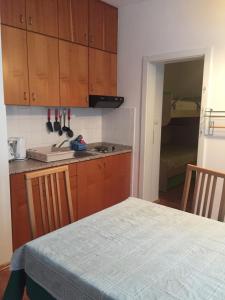 Dapur atau dapur kecil di Apartment on Zdraviliski trg 7