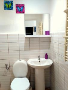 een badkamer met een toilet en een wastafel bij Studio Estery in Krakau