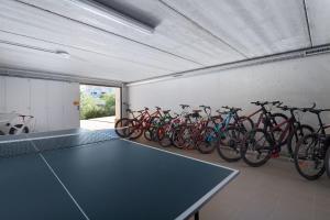Катання на велосипеді по території JBX Resort Hotel Albatros або околицях