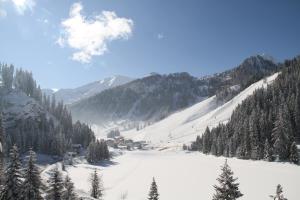 Alpen Appartements Zauchensee semasa musim sejuk