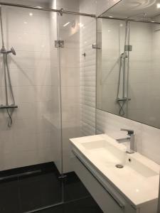 ソポトにあるApartament Aquarius Sopotのバスルーム(洗面台、ガラス張りのシャワー付)