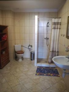 a bathroom with a toilet and a shower and a sink at Leszczynowy dworek in Ponikwa