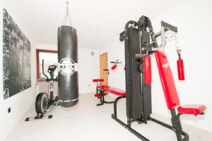 Fitnesscentret og/eller fitnessfaciliteterne på BodenseeDomizil