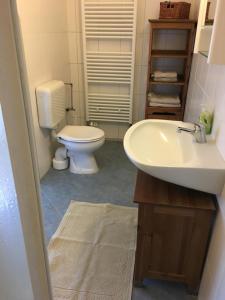 KlenzauにあるFerienwohnung 2 Hof Flühのトイレと洗面台付きのバスルーム +13枚の写真