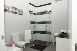 a bathroom with a shower and a toilet and a sink at Apartamentos Dacris in Jerte