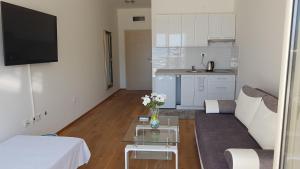 Kuchyň nebo kuchyňský kout v ubytování Lux Apartment Vidovic
