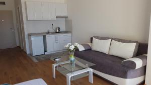 Kuchyň nebo kuchyňský kout v ubytování Lux Apartment Vidovic