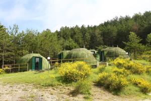 a group of green domes in a field at Astrocamp in Verghereto