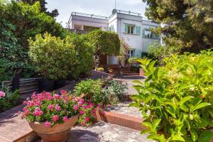 un jardin avec des fleurs et des plantes devant un bâtiment dans l'établissement Amoredimare B&B in Villa, à Polignano a Mare