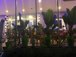Fotografie z fotogalerie ubytování Q Songchi Hotel v destinaci Con Dao