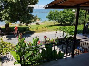 Naturlandskabet i nærheden af villaen