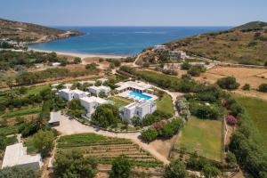 an aerial view of a mansion with the ocean in the background at Dioni Hotel in Skiros