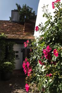 The building where the bed & breakfast is located 