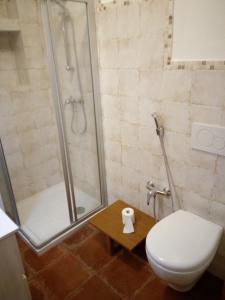 a bathroom with a shower and a toilet and a table at BB Fonterrante in Monterubbiano