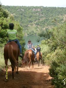 Horseback riding at a vidéki vendégházakat or nearby