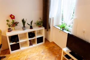 un salon avec une télévision et des plantes en pot dans l'établissement Happy Turtle Apartments, à Budapest