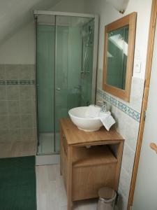 a bathroom with a sink and a shower at Les Chambres d'Helix in Saint-Dizier-les-Domaines