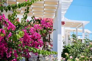 un ramo de flores rosas en una casa blanca en Mirabeli Apartments & Suites en Pollonia