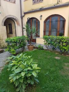 un patio con plantas frente a un edificio en la maison de rêve en Camaiore
