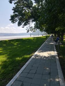 Φυσικό τοπίο κοντά σε αυτό το διαμέρισμα