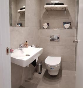 La salle de bains est pourvue d'un lavabo et de toilettes. dans l'établissement Apartamento "El Abuelo", à Calahorra