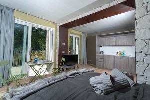 een slaapkamer met een groot bed voor een raam bij Tulipa Natural Home in Mezzolago