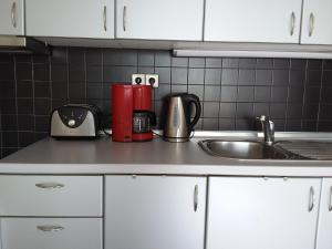 Kuchyň nebo kuchyňský kout v ubytování Ntelis Home